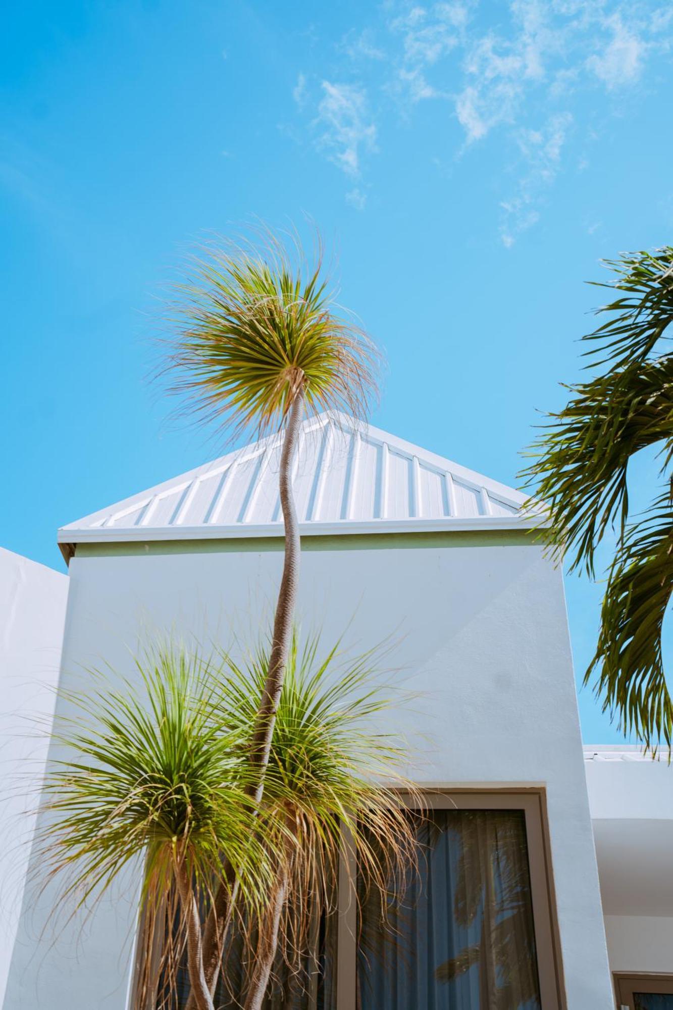 The Mill Resort And Suites Palm Beach Exterior photo